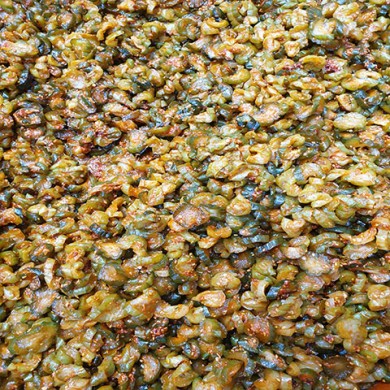 웰빙오이지무침